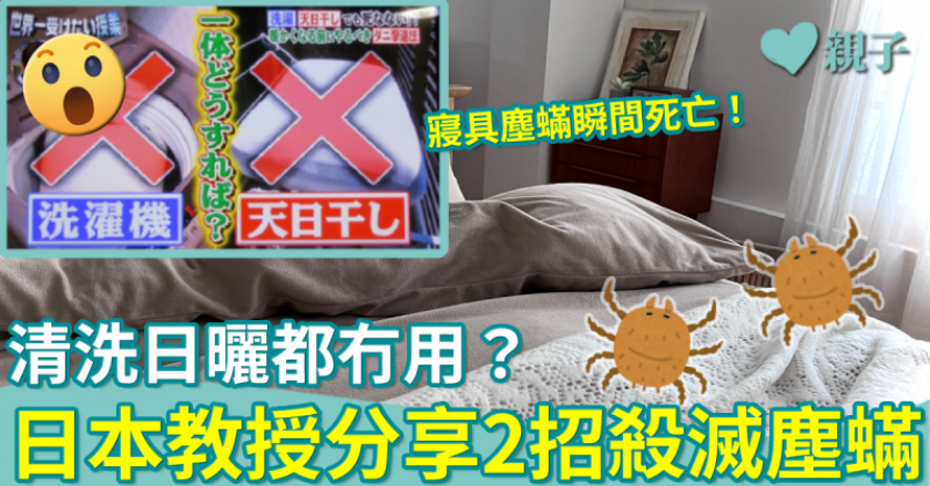 清潔小貼士︳清洗日曬都無效用！日本教授揭2招有效消滅寢具塵蟎