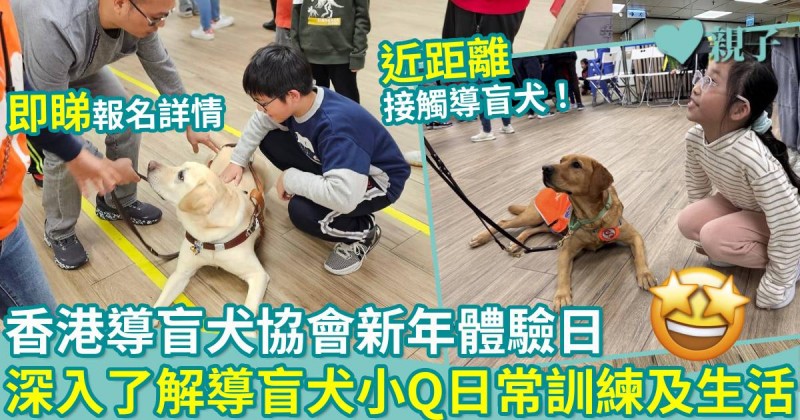 親子活動｜香港導盲犬協會新年體驗日　近距離接觸導盲犬　深入了解導盲犬小Q日常訓練及生活