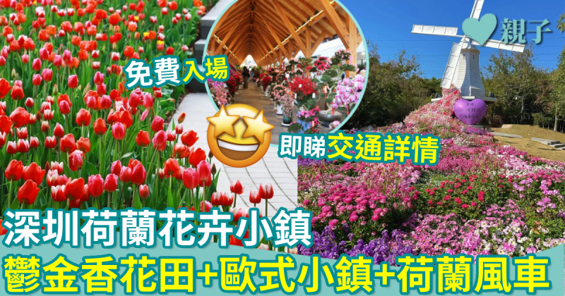 深圳好去處｜深圳荷蘭花卉小鎮　鬱金香花田+歐式小鎮+荷蘭風車