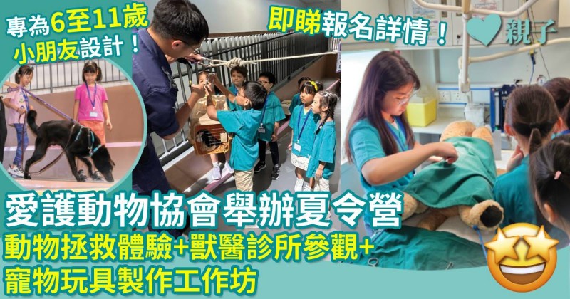 暑假活動｜愛協舉辦「SPCA夏令營-動物全接觸」　為小朋友提供全方位認識動物的體驗