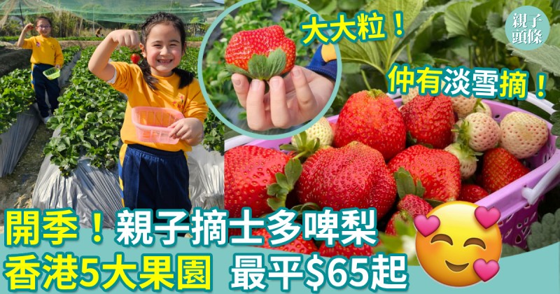 親子好去處︱開季！親子齊摘士多啤梨　香港5大果園　最平$65起