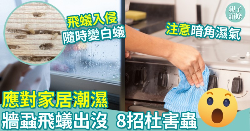 滅蟲貼士︱潮濕春季　牆蝨飛蟻家居出沒　8招杜絕害蟲