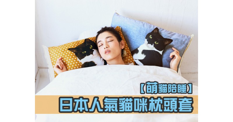 【萌貓陪睡】日本人氣貓咪枕頭套