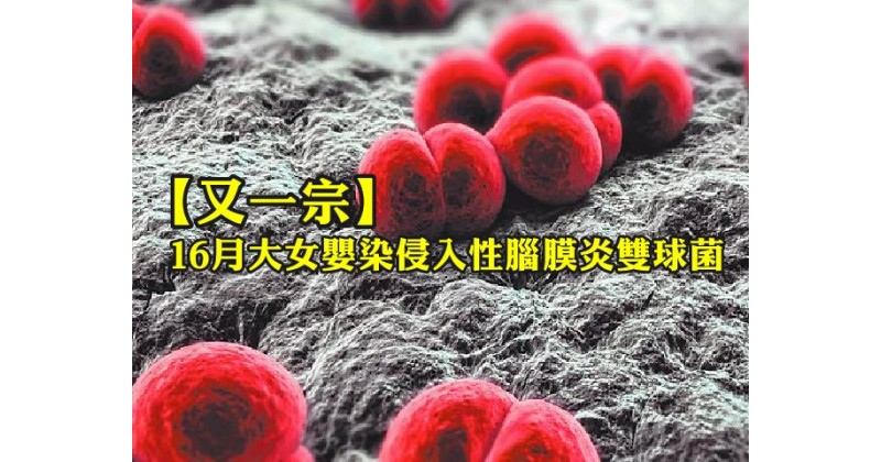 【又一宗】6月大女嬰染侵入性腦膜炎雙球菌