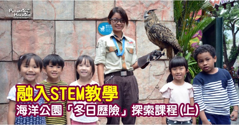 【融入STEM教學】海洋公園「冬日歷險」探索課程(上)