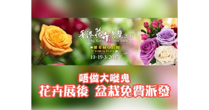 【唔做大嘥鬼】花卉展後 盆栽免費派發