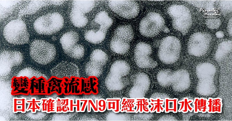 【變種禽流感】日本確認H7N9可經飛沫口水傳播