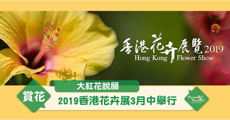 【大紅花說願】2019香港花卉展3月中舉行