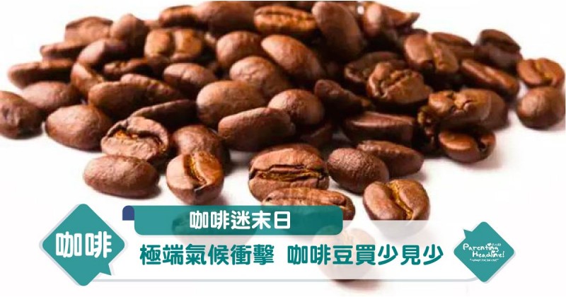 【咖啡迷末日?】極端氣候衝擊 咖啡豆買少見少