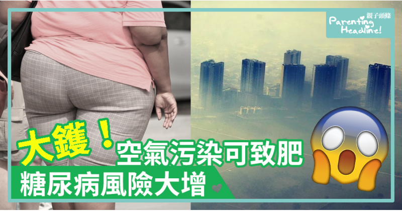 【大鑊】空氣污染可致肥　糖尿病風險大增　