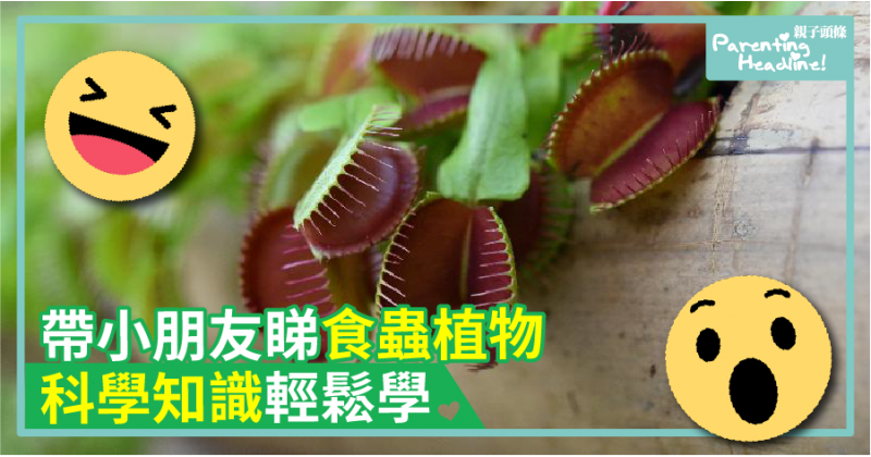 【免費】帶小朋友睇食蟲植物　科學知識輕鬆學