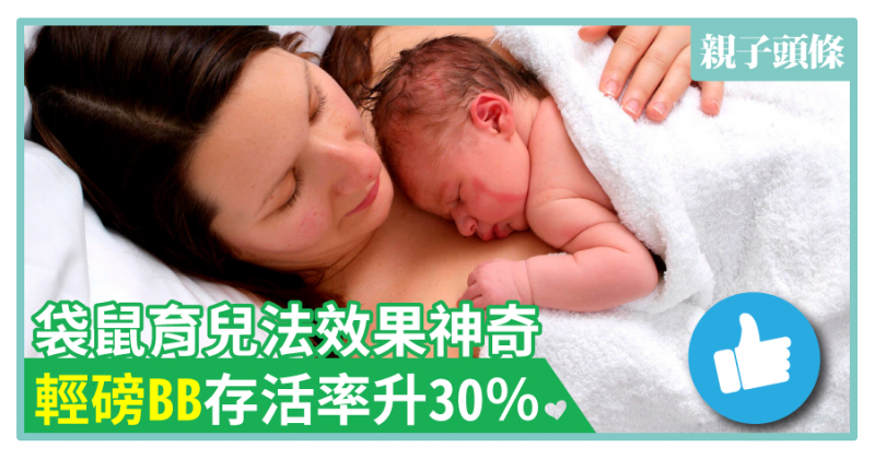 【湊B】袋鼠育兒法效果神奇　輕磅BB存活率升30%