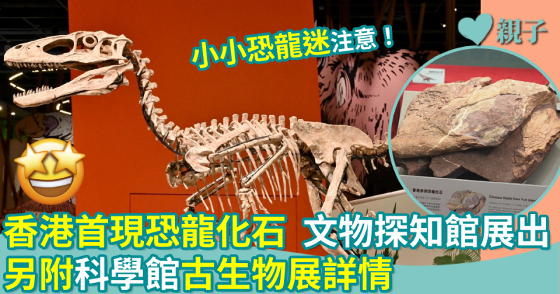 親子好去處｜香港首現恐龍化石　文物探知館展出　另附科學館古生物展詳情