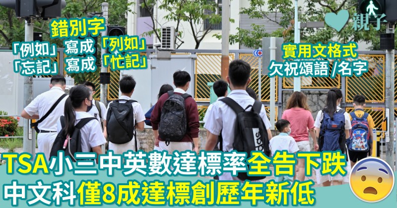 教育新聞｜TSA 小三中英數達標率全告下跌　中文科僅8成達標創歷年新低