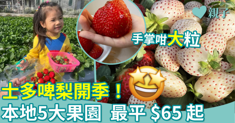 親子好去處︱士多啤梨開季！本地5大果園　最平$65起