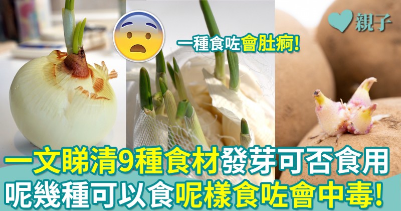 食物安全︳薯仔發芽有毒！洋蔥蒜蕃薯食唔食得？一文睇清9種食材發芽可否食用