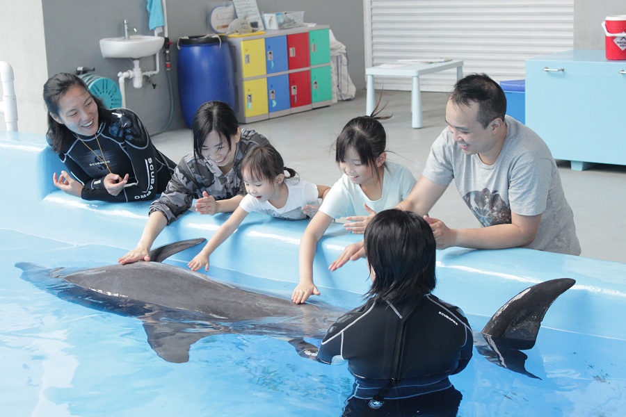 【親親海豚】親身接觸 學懂保護海洋意識