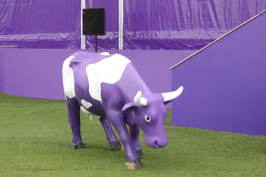【好去處】英國來的紫色牛牛