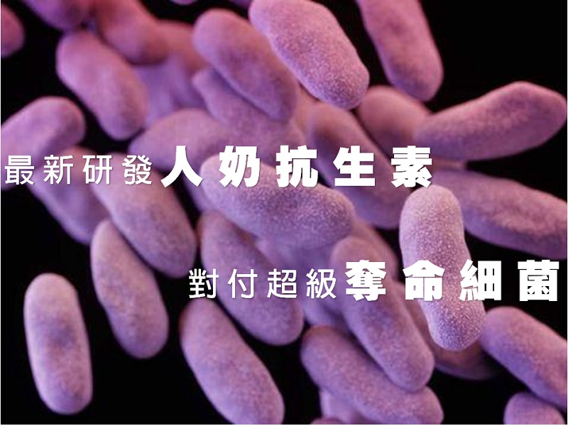 【人奶抗生素】對付超級奪命細菌