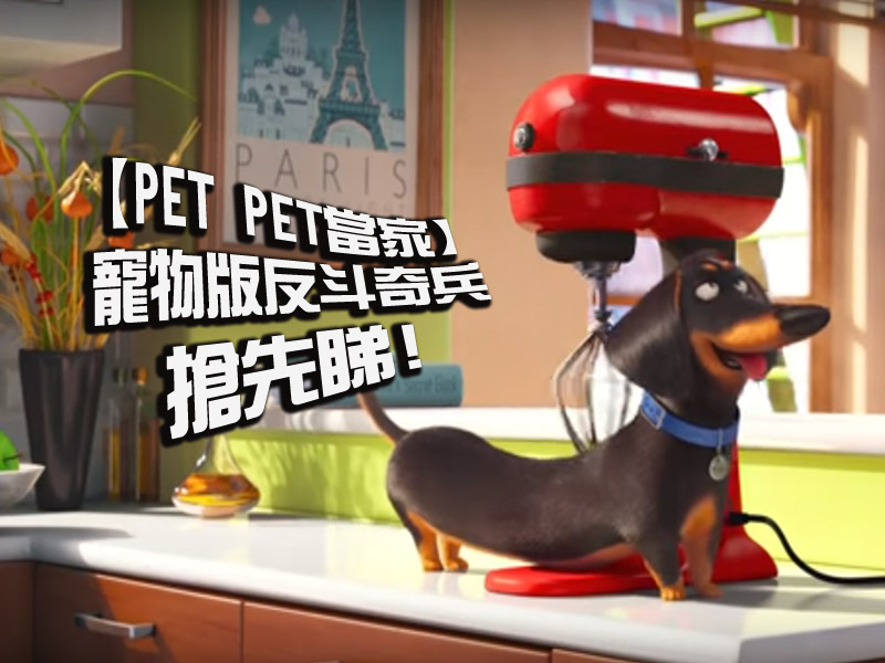 【PET PET當家】寵物版反斗奇兵搶先預告