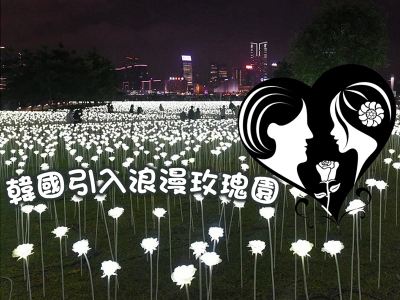 【亮麗花海】韓國引入浪漫玫瑰園