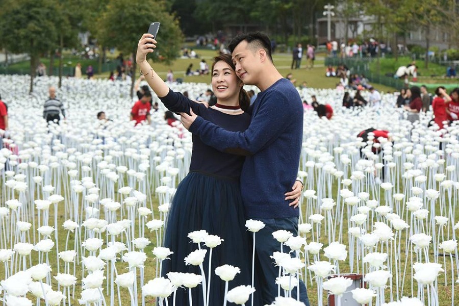 【亮麗花海】韓國引入浪漫玫瑰園