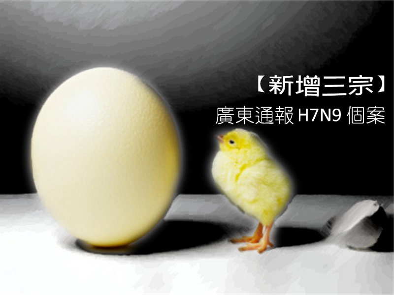 【新增三宗】廣東通報 H7N9 個案