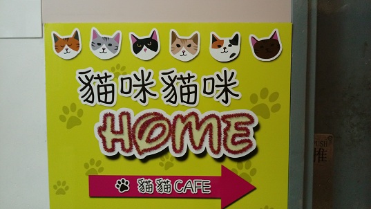 【親子好去處】貓貓陪食餐廳
