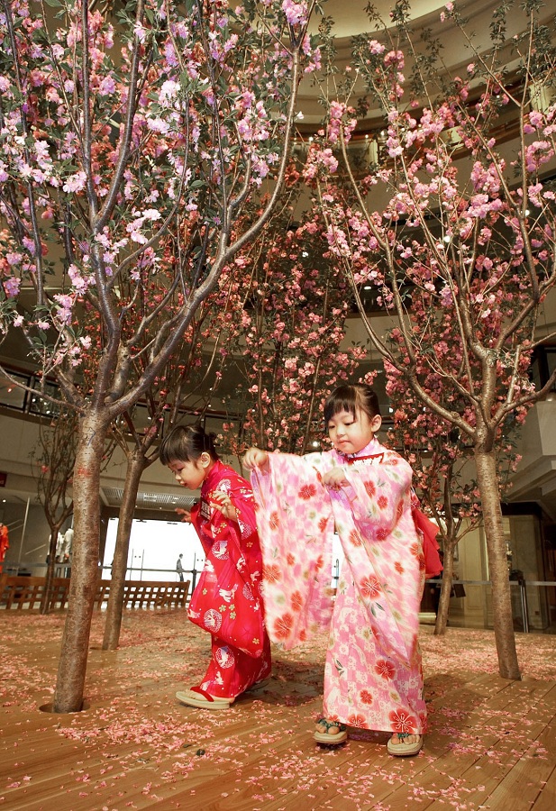 【親子好去處】日本櫻花文化祭