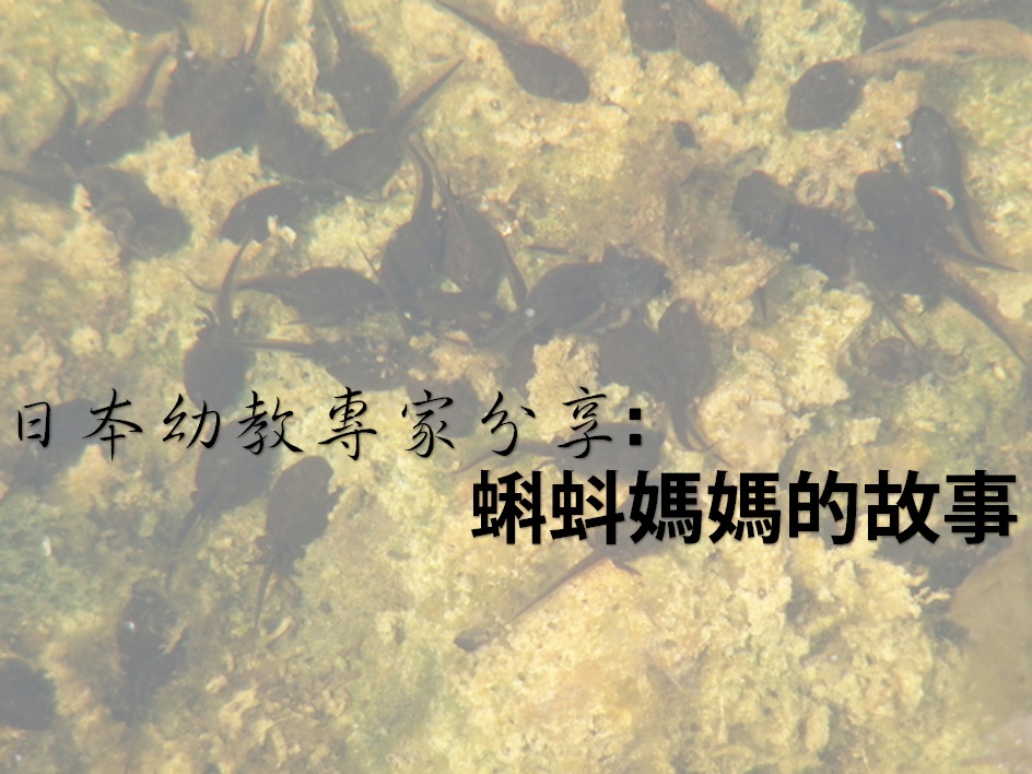 【日本專家分享】蝌蚪媽媽的故事