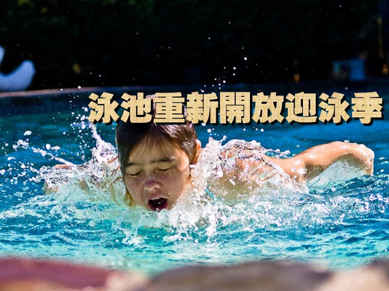 【親子情報】泳池重新開放迎泳季