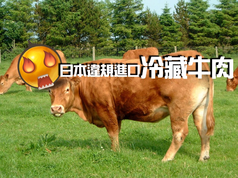 【親子頭條】日本違規進口冷藏牛肉