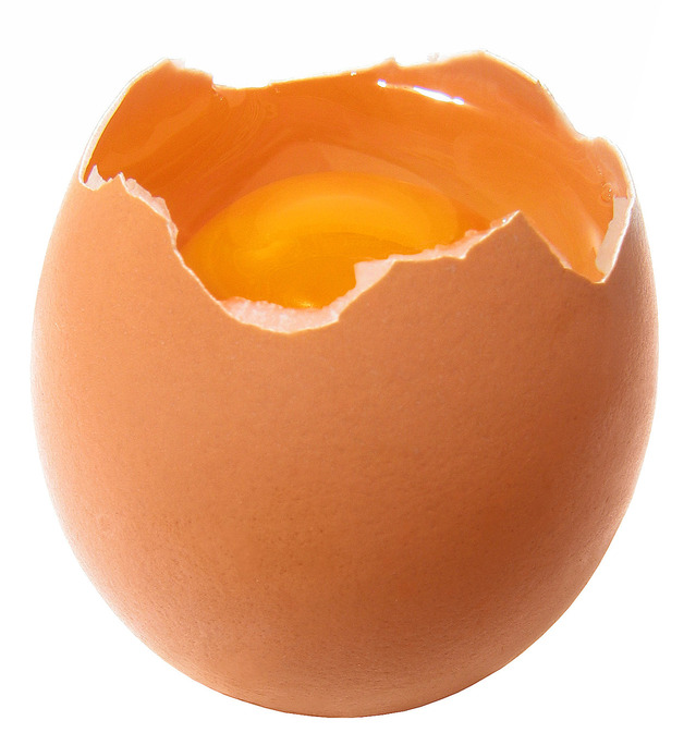 【千祈咪食】波蘭進口雞蛋疑受沙門氏菌污染