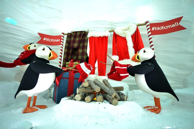 【最新活動】窺探北極動物的聖誕