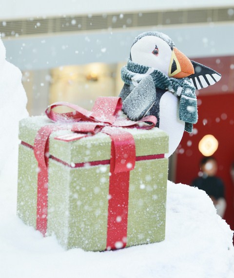 【最新活動】窺探北極動物的聖誕