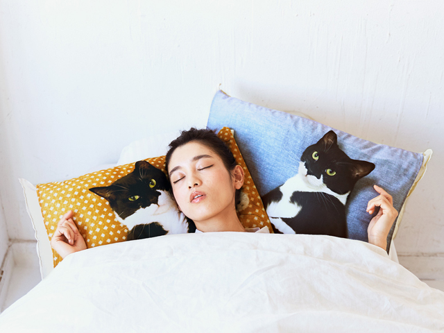 【產品推介】日本人氣貓咪枕頭套