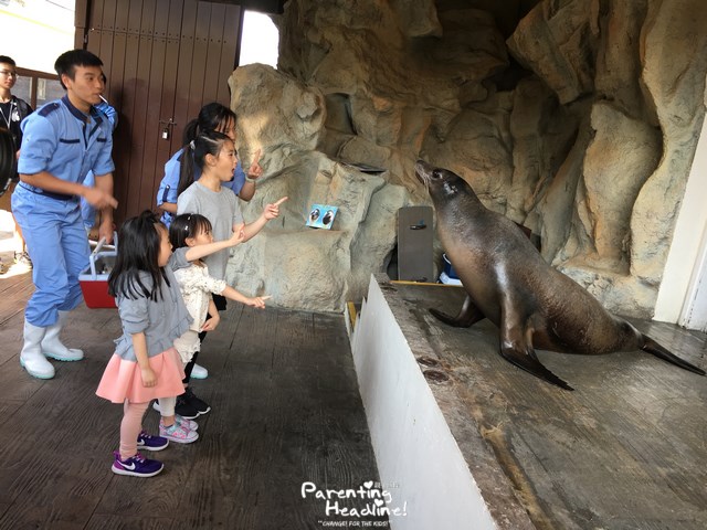 【親子好去處】近距離接觸海獅、海豚、樹懶