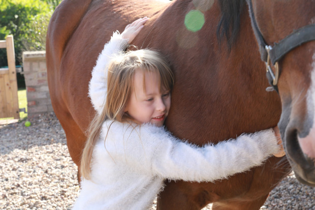 【毛孩】俱樂部倡動物輔助治療  讓特殊兒童跟動物共處