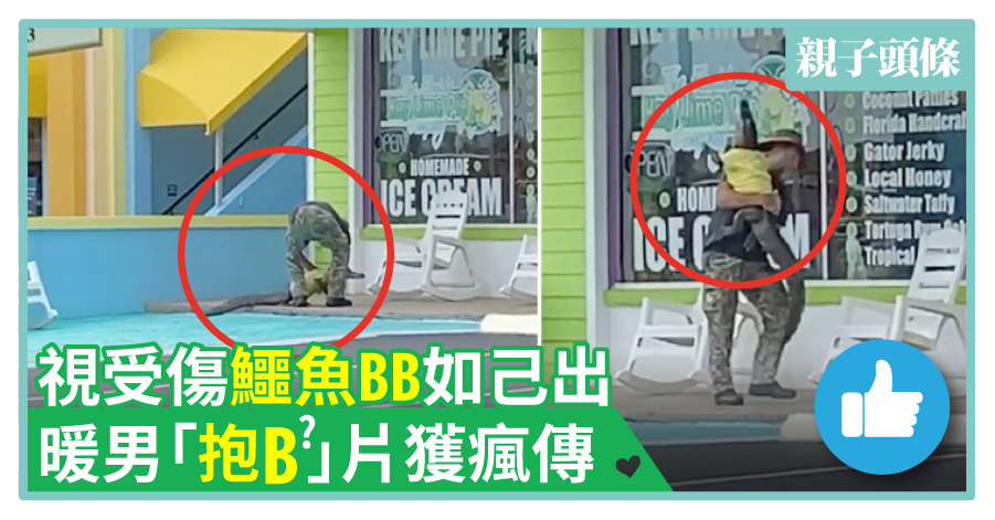 【巧驚驚】視受傷鱷魚BB如己出 暖男「抱B」片獲瘋傳