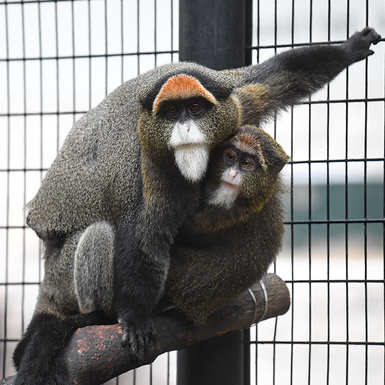 香港動植物公園